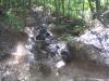 ? Quad  Sunday ride